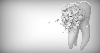 Sind Zähne eine Fehlkonstruktion? auf psd2011.de